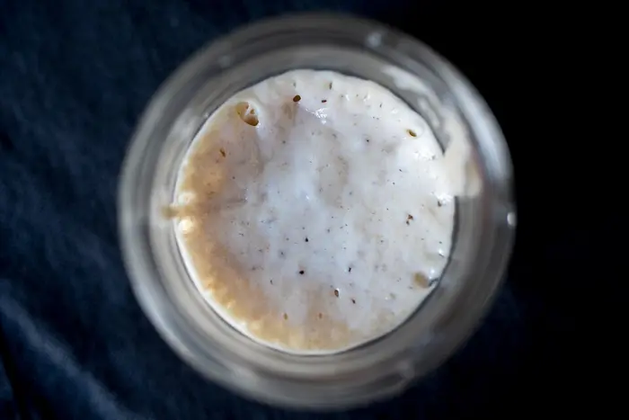 An active sourdough starter, bubbly and domed in its jar, seen from above