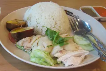 Chop the chicken into pieces through the bone, or carve it boneless in thick slices. Serve over the rice with cucumber, cilantro, the chile sauce, gra