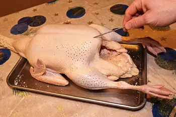 An hour before roasting, take the goose out of the fridge. Heat the oven to 325°F (165°C). Prick the skin all over with a skewer or the tip of a knife