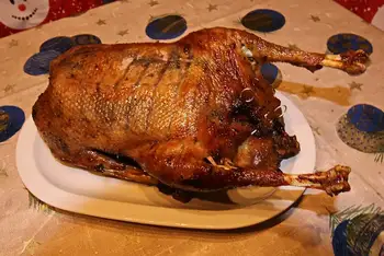 Carve by lifting each breast half off in one piece and slicing it across the grain, then take off the legs and thighs. Serve with the roasted apples a