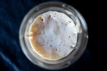 A glass jar of active sourdough starter, bubbly and risen, seen from above